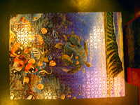 Canon PowerShot G3, 2003:08:04 03:09:04 -- 1/8 sec, f/2.0.  No Flash, Compulsory.2272x1704 Off.