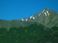 Canon PowerShot G3, 2003:08:04 12:00:37 -- 1/80 sec, f/8.0.  No Flash, Compulsory.2272x1704 Off.