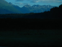 Canon PowerShot G3, 2003:08:04 12:28:34 -- 1/80 sec, f/8.0.  No Flash, Compulsory.2272x1704 Off.