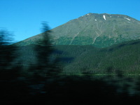 Canon PowerShot G3, 2003:08:04 12:31:42 -- 1/60 sec, f/8.0.  No Flash, Compulsory.2272x1704 Off.