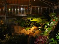 Garden11.jpg(925597 bytes) -- Canon-Canon PowerShot G3,  2004:02:22 00:08:13,  [2272 x 1704],  fl=Y,  f= 7.2mm  (35mm equivalent: 36mm),  exptime=1.000 s ,  f/2.0