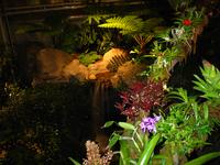 Garden12.jpg(1136611 bytes) -- Canon-Canon PowerShot G3,  2004:02:22 00:08:24,  [2272 x 1704],  fl=Y,  f= 7.2mm  (35mm equivalent: 36mm),  exptime=1.000 s ,  f/2.0