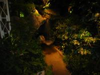 Garden13.jpg(786714 bytes) -- Canon-Canon PowerShot G3,  2004:02:22 00:10:19,  [2272 x 1704],  fl=Y,  f= 7.2mm  (35mm equivalent: 36mm),  exptime=1.000 s ,  f/2.0