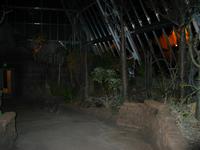 Garden2.jpg(831050 bytes) -- Canon-Canon PowerShot G3,  2004:02:21 23:58:35,  [2272 x 1704],  fl=Y,  f= 7.2mm  (35mm equivalent: 36mm),  exptime=0.017 s  (1/60),  f/2.0