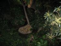 Garden5.jpg(1065588 bytes) -- Canon-Canon PowerShot G3,  2004:02:22 00:05:41,  [2272 x 1704],  fl=Y,  f= 7.2mm  (35mm equivalent: 36mm),  exptime=0.017 s  (1/60),  f/2.0