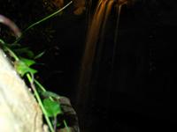 Waterfall1.jpg(507732 bytes) -- Canon-Canon PowerShot G3,  2004:02:22 00:01:35,  [2272 x 1704],  fl=Y,  f= 7.2mm  (35mm equivalent: 36mm),  exptime=0.600 s ,  f/2.0