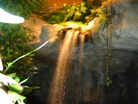 Waterfall3.jpg(1057726 bytes) -- Canon-Canon PowerShot G3,  2004:02:22 00:02:17,  [2272 x 1704],  fl=Y,  f= 7.2mm  (35mm equivalent: 36mm),  exptime=4.000 s ,  f/2.0