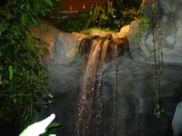 Waterfall5.jpg(1164646 bytes) -- Canon-Canon PowerShot G3,  2004:02:22 00:04:22,  [2272 x 1704],  fl=Y,  f= 7.2mm  (35mm equivalent: 36mm),  exptime=1.000 s ,  f/2.0