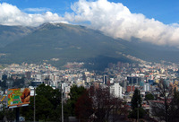 Canon PowerShot G3, 2004:03:22 10:08:28 -- 1/800 sec, f/4.0.  No Flash, Auto.2272x1704 Red-Eye Reduction (Auto).