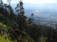 Canon PowerShot G3, 2004:03:22 12:00:28 -- 1/800 sec, f/4.0.  No Flash, Auto.2272x1704 Red-Eye Reduction (Auto).