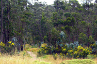 Canon PowerShot G3, 2004:03:22 12:14:12 -- 1/200 sec, f/4.0.  No Flash, Auto.2272x1704 Red-Eye Reduction (Auto).