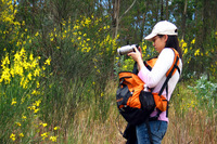 Canon PowerShot G3, 2004:03:22 12:14:29 -- 1/320 sec, f/4.0.  No Flash, Auto.2272x1704 Red-Eye Reduction (Auto).