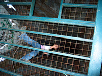 Canon PowerShot G3, 2004:03:22 18:43:35 -- 1/60 sec, f/2.0.  Flash, Compulsory, Red-Eye Reduce.2272x1704 Red-Eye Reduction (On).