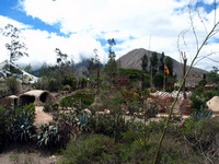 Canon PowerShot G3, 2004:03:24 14:25:51 -- 1/250 sec, f/8.0.  Flash, Compulsory, Red-Eye Reduce.2272x1704 Red-Eye Reduction (On).