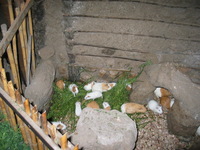 Canon PowerShot G3, 2004:03:24 14:53:51 -- 1/60 sec, f/2.0.  Flash, Auto, Red-Eye Reduce.2272x1704 Red-Eye Reduction (Auto).