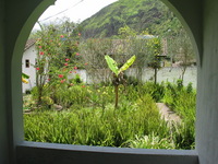 Canon PowerShot G3, 2004:03:26 13:06:40 -- 1/400 sec, f/4.0.  No Flash, Auto.2272x1704 Red-Eye Reduction (Auto).