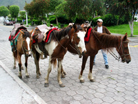 Canon PowerShot G3, 2004:03:26 17:45:51 -- 1/60 sec, f/4.0.  No Flash, Auto.2272x1704 Red-Eye Reduction (Auto).