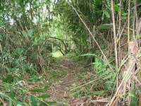 126_2632.JPG(1320331 bytes) -- Canon-Canon PowerShot G3,  2004:03:27 11:48:51,  [2272 x 1704],  fl=Y,  f= 7.2mm  (35mm equivalent: 36mm),  exptime=0.017 s  (1/60),  f/2.0