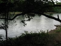 126_2633.JPG(1276447 bytes) -- Canon-Canon PowerShot G3,  2004:03:27 11:49:04,  [2272 x 1704],  fl=N,  f= 7.2mm  (35mm equivalent: 36mm),  exptime=0.0040 s  (1/250),  f/4.0