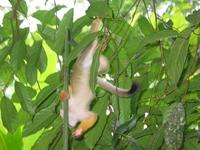 126_2651.JPG(1012417 bytes) -- Canon-Canon PowerShot G3,  2004:03:27 12:02:27,  [2272 x 1704],  fl=Y,  f=28.8mm  (35mm equivalent: 146mm),  exptime=0.017 s  (1/60),  f/3.0