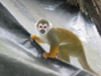 126_2655.JPG(671975 bytes) -- Canon-Canon PowerShot G3,  2004:03:27 12:03:34,  [2272 x 1704],  fl=Y,  f=28.8mm  (35mm equivalent: 146mm),  exptime=0.017 s  (1/60),  f/3.0