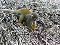 126_2658.JPG(1326894 bytes) -- Canon-Canon PowerShot G3,  2004:03:27 12:04:09,  [2272 x 1704],  fl=N,  f=28.8mm  (35mm equivalent: 146mm),  exptime=0.020 s  (1/50),  f/4.0