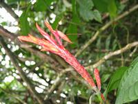 126_2666.JPG(901936 bytes) -- Canon-Canon PowerShot G3,  2004:03:27 12:15:30,  [2272 x 1704],  fl=Y,  f=11.2mm  (35mm equivalent: 57mm),  exptime=0.017 s  (1/60),  f/2.2