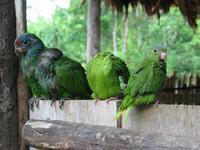 126_2670.JPG(941334 bytes) -- Canon-Canon PowerShot G3,  2004:03:27 12:22:59,  [2272 x 1704],  fl=N,  f=14.4mm  (35mm equivalent: 73mm),  exptime=0.020 s  (1/50),  f/3.2