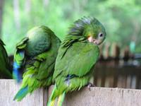 126_2673.JPG(940097 bytes) -- Canon-Canon PowerShot G3,  2004:03:27 12:23:30,  [2272 x 1704],  fl=N,  f=25.1mm  (35mm equivalent: 127mm),  exptime=0.025 s  (1/40),  f/2.8