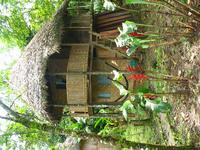 127_2719.JPG(1953232 bytes) -- Canon-Canon PowerShot G3,  2004:03:27 16:29:14,  [2272 x 1704],  fl=Y,  f= 7.2mm  (35mm equivalent: 36mm),  exptime=0.017 s  (1/60),  f/2.8