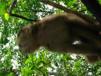 127_2728.JPG(1109562 bytes) -- Canon-Canon PowerShot G3,  2004:03:27 16:39:52,  [2272 x 1704],  fl=N,  f=28.8mm  (35mm equivalent: 146mm),  exptime=0.050 s  (1/20),  f/6.3