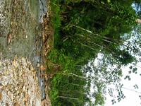 127_2733.JPG(1757932 bytes) -- Canon-Canon PowerShot G3,  2004:03:27 17:10:15,  [2272 x 1704],  fl=N,  f= 7.2mm  (35mm equivalent: 36mm),  exptime=0.0063 s  (1/160),  f/4.0