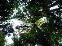 127_2739.JPG(1746676 bytes) -- Canon-Canon PowerShot G3,  2004:03:27 17:30:21,  [2272 x 1704],  fl=N,  f= 7.2mm  (35mm equivalent: 36mm),  exptime=0.013 s  (1/80),  f/4.0