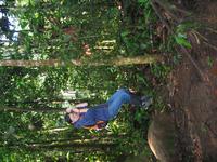 127_2742.JPG(1532292 bytes) -- Canon-Canon PowerShot G3,  2004:03:27 17:34:35,  [2272 x 1704],  fl=Y,  f= 7.2mm  (35mm equivalent: 36mm),  exptime=0.017 s  (1/60),  f/2.0