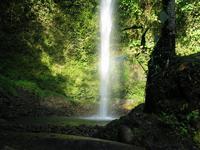 127_2747.JPG(1552040 bytes) -- Canon-Canon PowerShot G3,  2004:03:27 17:46:41,  [2272 x 1704],  fl=N,  f= 7.2mm  (35mm equivalent: 36mm),  exptime=0.013 s  (1/80),  f/4.0