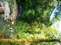 127_2754.JPG(1997966 bytes) -- Canon-Canon PowerShot G3,  2004:03:27 18:31:08,  [2272 x 1704],  fl=N,  f= 7.2mm  (35mm equivalent: 36mm),  exptime=0.025 s  (1/40),  f/2.0