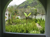 125_2578.JPG(1795351 bytes) -- Canon-Canon PowerShot G3,  2004:03:26 13:06:40,  [2272 x 1704],  fl=N,  f= 7.2mm  (35mm equivalent: 36mm),  exptime=0.0025 s  (1/400),  f/4.0