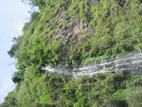 125_2582.JPG(1928033 bytes) -- Canon-Canon PowerShot G3,  2004:03:26 14:18:17,  [2272 x 1704],  fl=N,  f=12.7mm  (35mm equivalent: 64mm),  exptime=0.0031 s  (1/320),  f/4.0