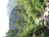 125_2588.JPG(1330531 bytes) -- Canon-Canon PowerShot G3,  2004:03:26 15:22:49,  [2272 x 1704],  fl=N,  f= 7.2mm  (35mm equivalent: 36mm),  exptime=0.0040 s  (1/250),  f/4.0