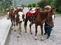 125_2595.JPG(1231646 bytes) -- Canon-Canon PowerShot G3,  2004:03:26 17:45:44,  [2272 x 1704],  fl=N,  f= 7.2mm  (35mm equivalent: 36mm),  exptime=0.017 s  (1/60),  f/4.0