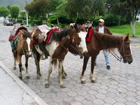 125_2596.JPG(1171541 bytes) -- Canon-Canon PowerShot G3,  2004:03:26 17:45:51,  [2272 x 1704],  fl=N,  f= 7.2mm  (35mm equivalent: 36mm),  exptime=0.017 s  (1/60),  f/4.0