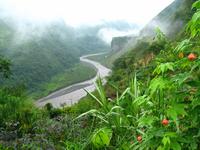 126_2605.JPG(1152095 bytes) -- Canon-Canon PowerShot G3,  2004:03:27 08:55:32,  [2272 x 1704],  fl=N,  f= 7.2mm  (35mm equivalent: 36mm),  exptime=0.020 s  (1/50),  f/3.2