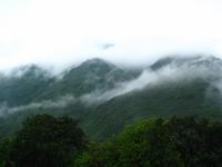 126_2607.JPG(699353 bytes) -- Canon-Canon PowerShot G3,  2004:03:27 08:57:55,  [2272 x 1704],  fl=N,  f= 7.2mm  (35mm equivalent: 36mm),  exptime=0.0100 s  (1/100),  f/4.0