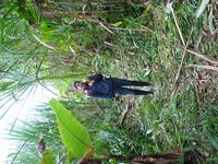 126_2631.JPG(1908643 bytes) -- Canon-Canon PowerShot G3,  2004:03:27 11:48:30,  [2272 x 1704],  fl=N,  f= 7.2mm  (35mm equivalent: 36mm),  exptime=0.020 s  (1/50),  f/2.8