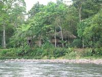 126_2634.JPG(1541482 bytes) -- Canon-Canon PowerShot G3,  2004:03:27 11:49:22,  [2272 x 1704],  fl=N,  f=28.8mm  (35mm equivalent: 146mm),  exptime=0.013 s  (1/80),  f/4.0