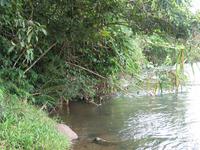 126_2637.JPG(1517446 bytes) -- Canon-Canon PowerShot G3,  2004:03:27 11:51:54,  [2272 x 1704],  fl=N,  f=12.7mm  (35mm equivalent: 64mm),  exptime=0.020 s  (1/50),  f/3.5