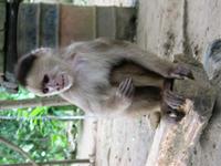 126_2641.JPG(826290 bytes) -- Canon-Canon PowerShot G3,  2004:03:27 11:57:23,  [2272 x 1704],  fl=N,  f=17.6mm  (35mm equivalent: 89mm),  exptime=0.067 s  (1/15),  f/3.5