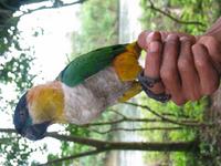 126_2648.JPG(789062 bytes) -- Canon-Canon PowerShot G3,  2004:03:27 12:01:17,  [2272 x 1704],  fl=N,  f=10.2mm  (35mm equivalent: 52mm),  exptime=0.020 s  (1/50),  f/2.8