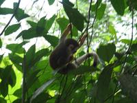 126_2650.JPG(855307 bytes) -- Canon-Canon PowerShot G3,  2004:03:27 12:02:24,  [2272 x 1704],  fl=N,  f=28.8mm  (35mm equivalent: 146mm),  exptime=0.020 s  (1/50),  f/3.5