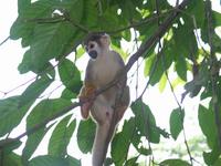 126_2654.JPG(785453 bytes) -- Canon-Canon PowerShot G3,  2004:03:27 12:03:15,  [2272 x 1704],  fl=Y,  f=28.8mm  (35mm equivalent: 146mm),  exptime=0.017 s  (1/60),  f/3.0